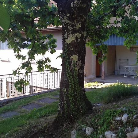 Cote Jardin Apartment Saint-Jean-en-Royans Ngoại thất bức ảnh